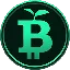 Green Bitcoin