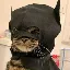 batcat