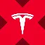 Tesla tokenized stock (xStock)