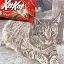 Remember KitKat