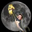 DOGE TO MOON (dogemoons.fun)