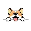 Corgidoge